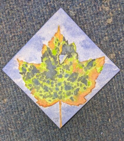 watercolor painting of a leaf